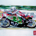 Hailwood Ducati